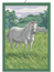 Handduk Horse